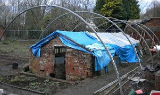 The completed hoops across the melon house