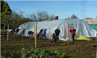 Covering the hoops over the melon house with the polytunnel material