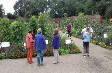 Visitors enjoying the garden
